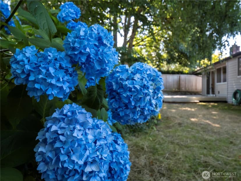 Property photo for 1908 Se 21st Place, Renton photo 25