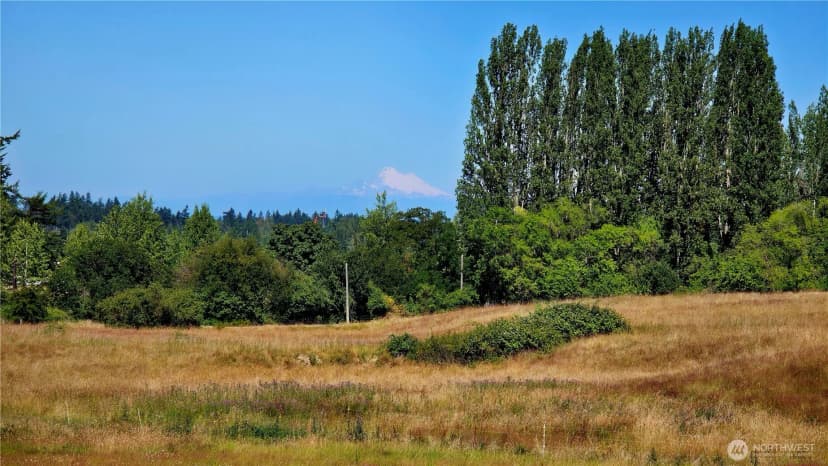 Property photo for 111 Alpine Lp, Sequim photo 7