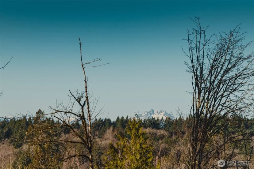 Property photo for 6223 Ebbert Drive Se, Port Orchard photo 35