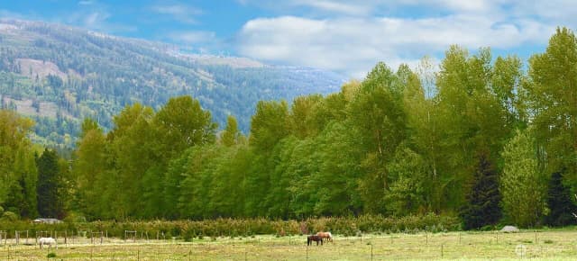 Property photo for 8233 Sims Rd, Sedro Woolley photo 4