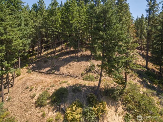 Property photo for 25601 Camp 12 Rd, Leavenworth photo 4