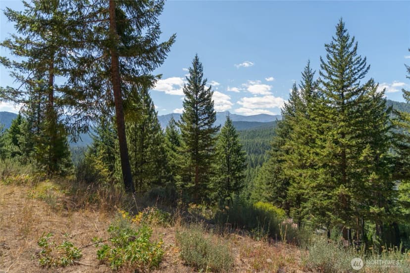 Property photo for 25601 Camp 12 Rd, Leavenworth photo 8