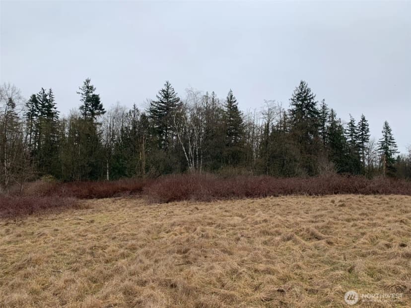 Property photo for 9924 Markworth Road, Lynden photo 15