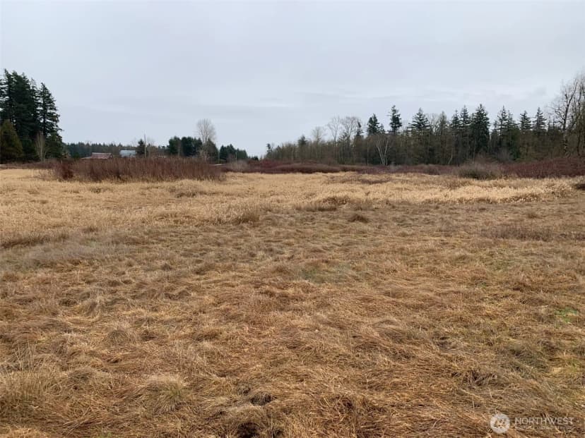 Property photo for 9924 Markworth Road, Lynden photo 19
