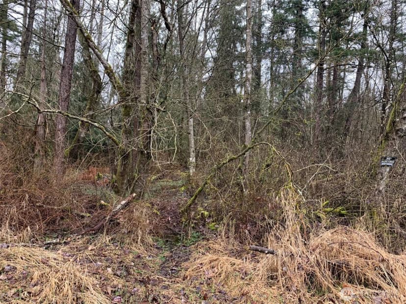 Property photo for 9924 Markworth Road, Lynden photo 13