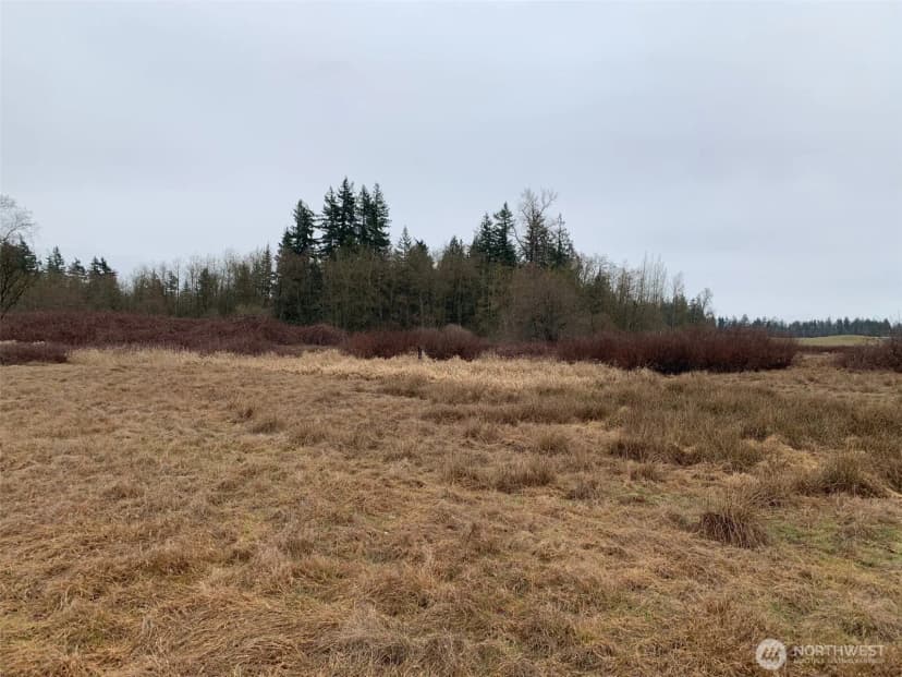 Property photo for 9924 Markworth Road, Lynden photo 20