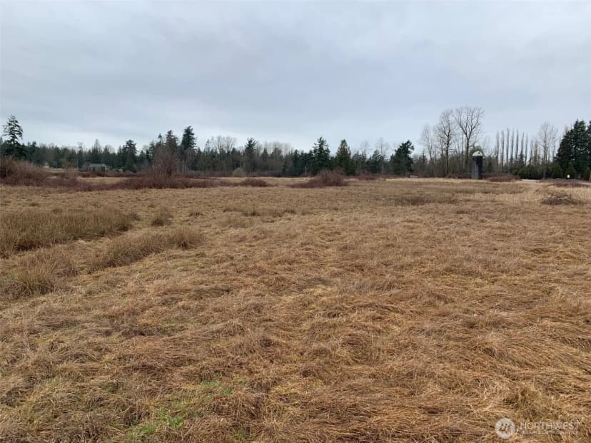 Property photo for 9924 Markworth Road, Lynden photo 18