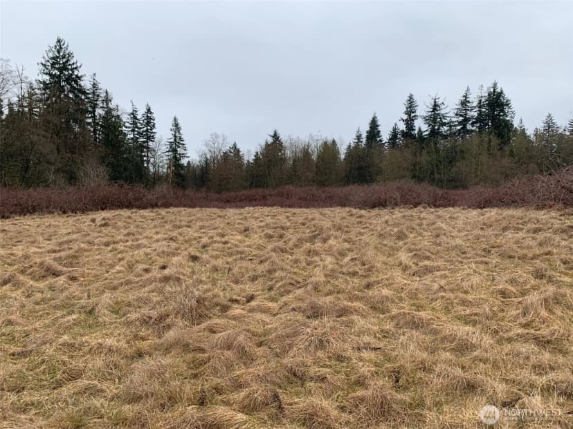 Property photo for 9924 Markworth Road, Lynden photo 16