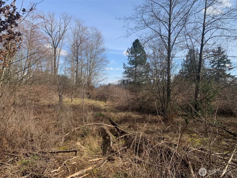 Property photo for 9924 Markworth Road, Lynden photo 12
