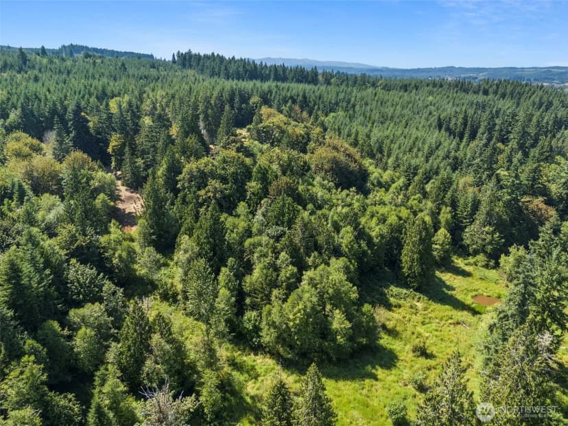 Property photo for 317 Cousins Road, Chehalis photo 37