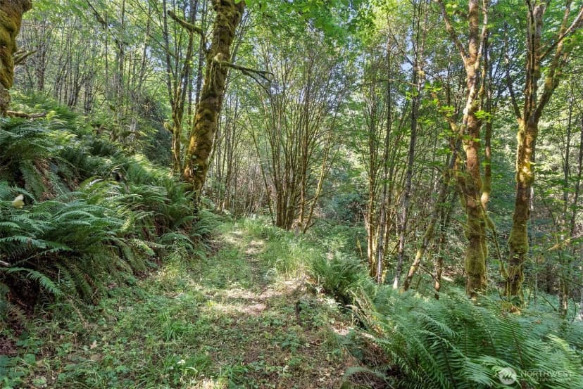 Property photo for 317 Cousins Road, Chehalis photo 39