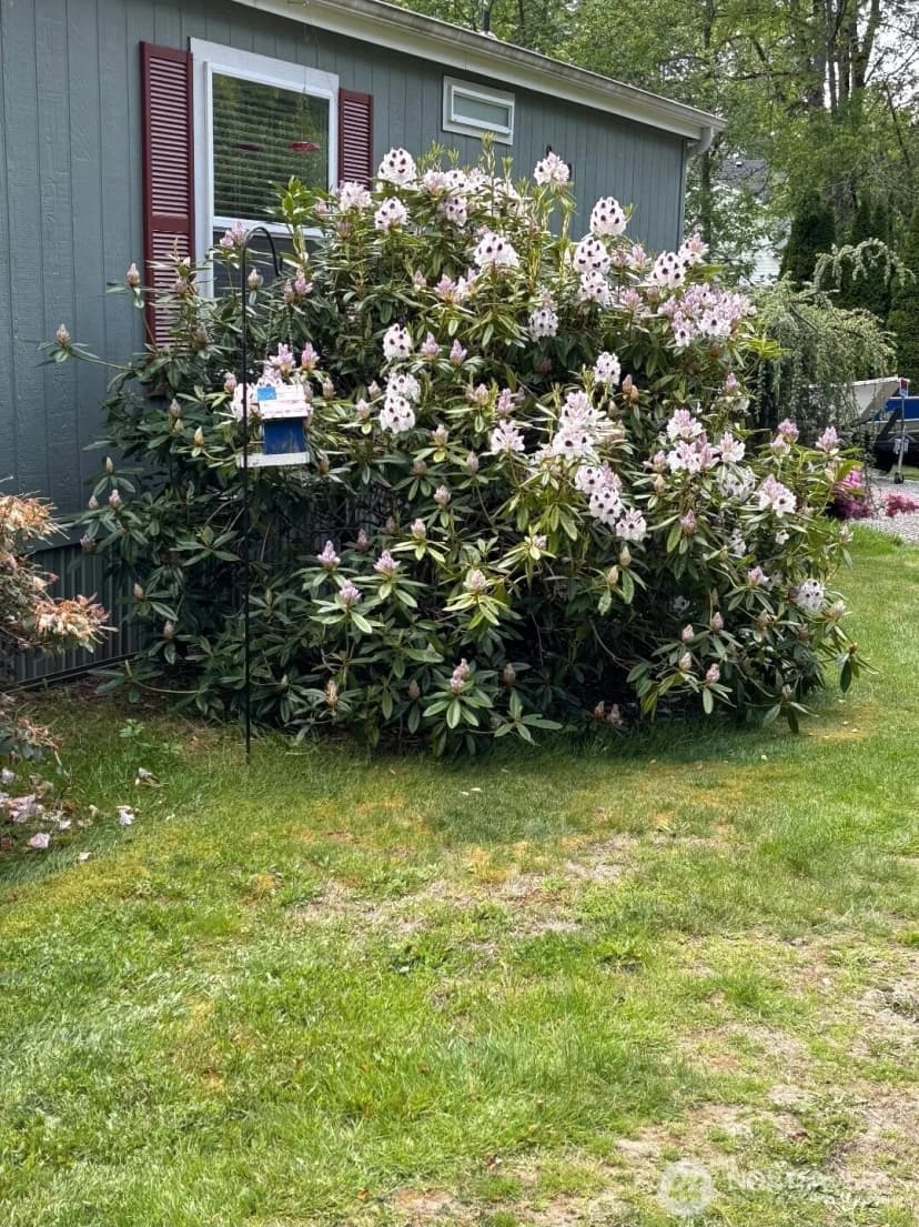 Property photo for 930 Tipsoo Loop N, Rainier photo 36