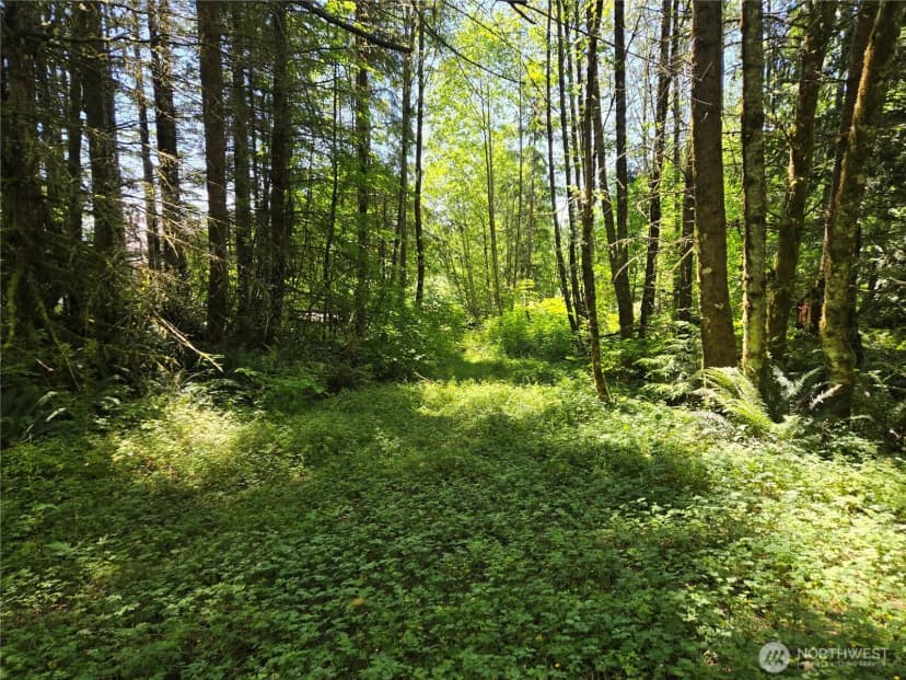 Property photo for 228 Xx W King Lake Road, Monroe photo 23