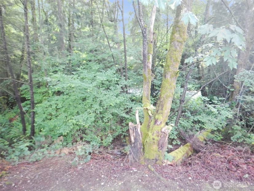 Property photo for 19022 Crown Ridge Boulevard, Arlington photo 30