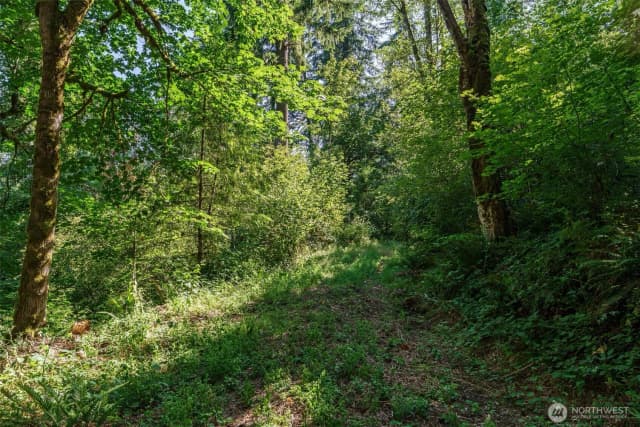 Property photo for 0 Ne Johnson Rd (parcel# 222320000), La Center photo 5