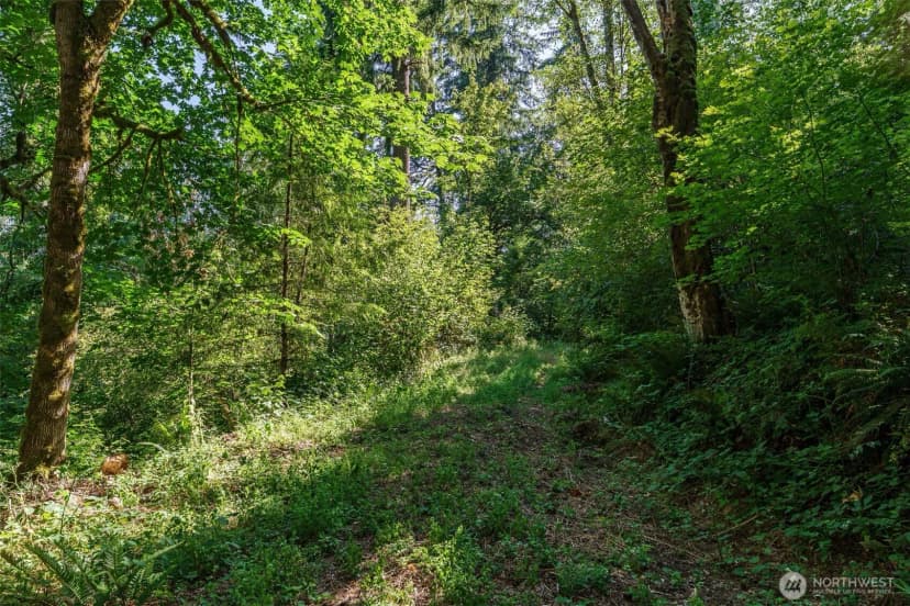 Property photo for 0 Ne Johnson Rd (parcel# 222320000), La Center photo 5