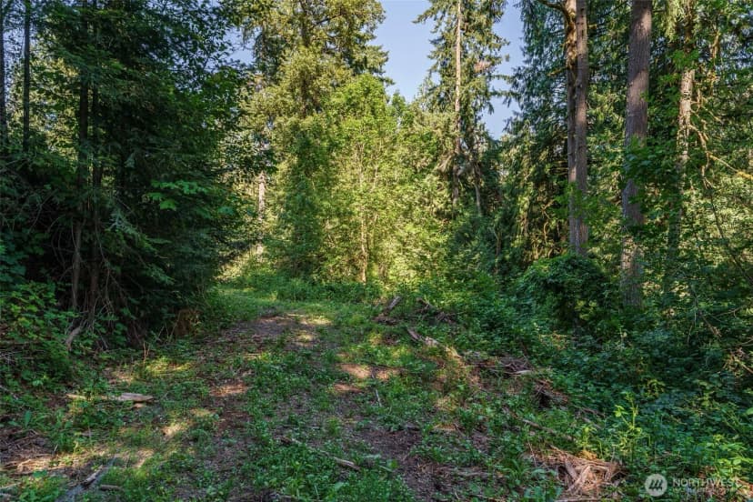 Property photo for 0 Ne Johnson Rd (parcel# 222320000), La Center photo 4