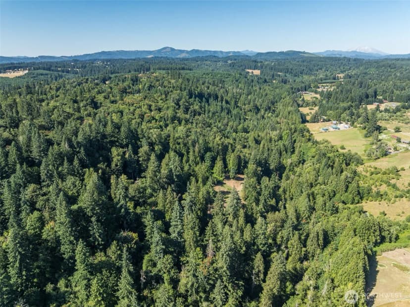 Property photo for 0 Ne Johnson Rd (parcel# 222320000), La Center photo 25