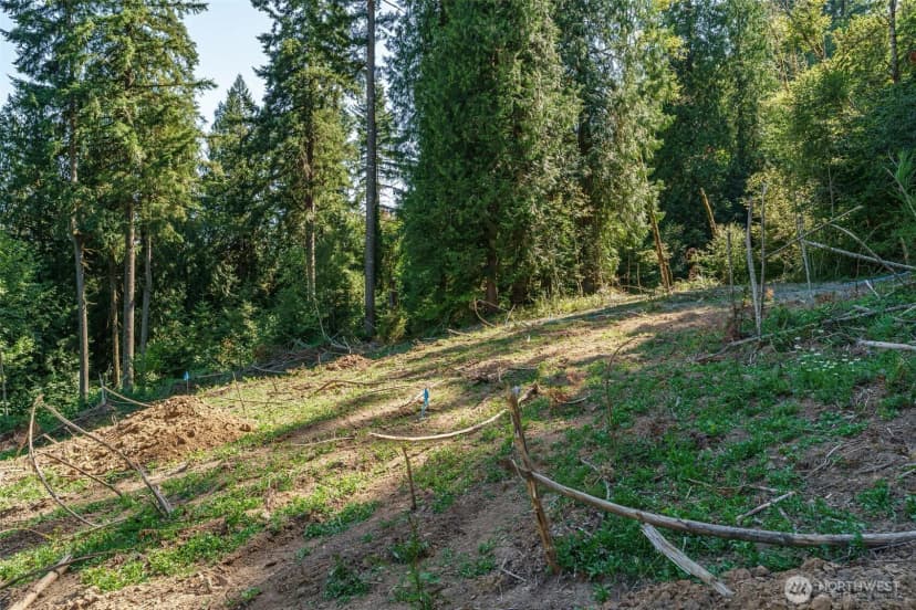 Property photo for 0 Ne Johnson Rd (parcel# 222320000), La Center photo 16