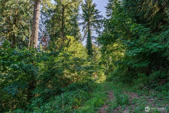 Property photo for 0 Ne Johnson Rd (parcel# 222320000), La Center photo 3