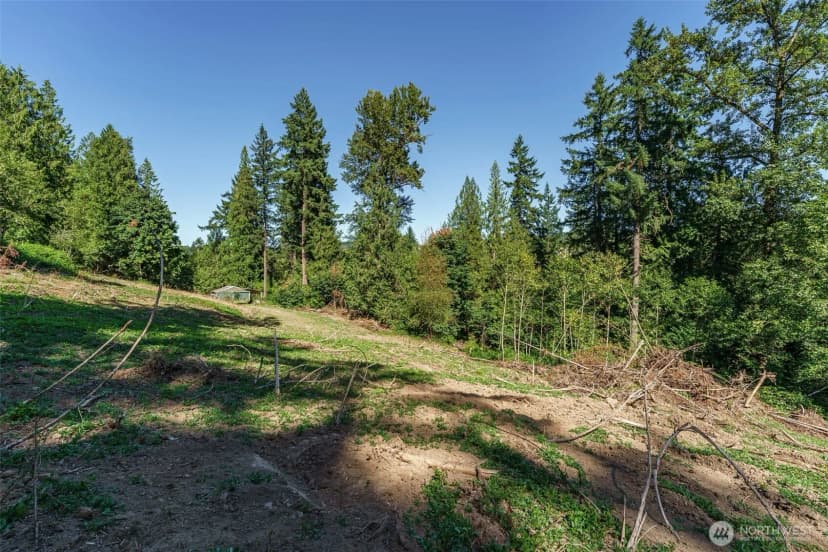 Property photo for 0 Ne Johnson Rd (parcel# 222320000), La Center photo 6
