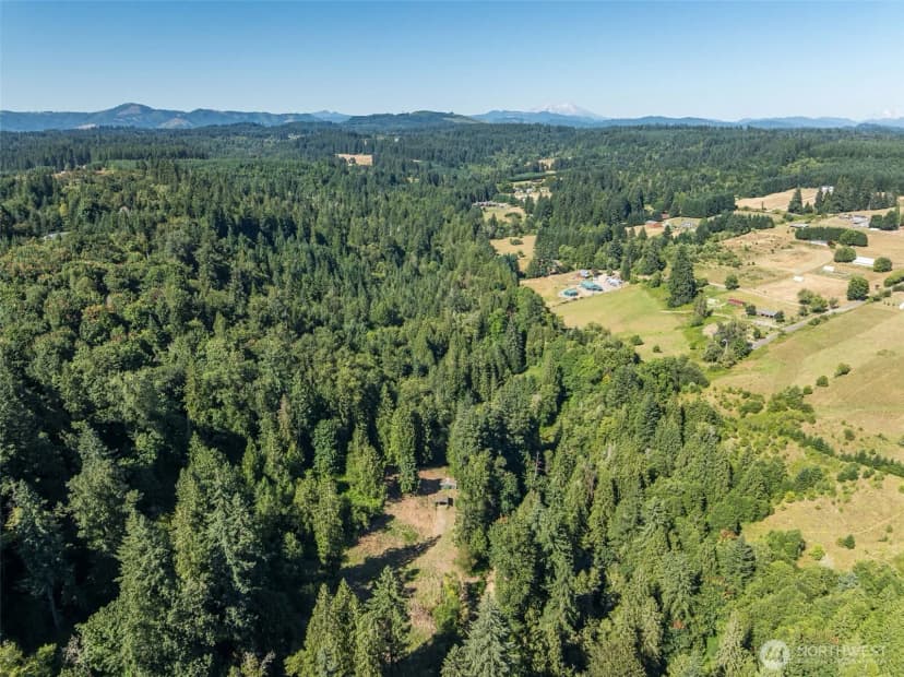 Property photo for 0 Ne Johnson Rd (parcel# 222320000), La Center photo 26