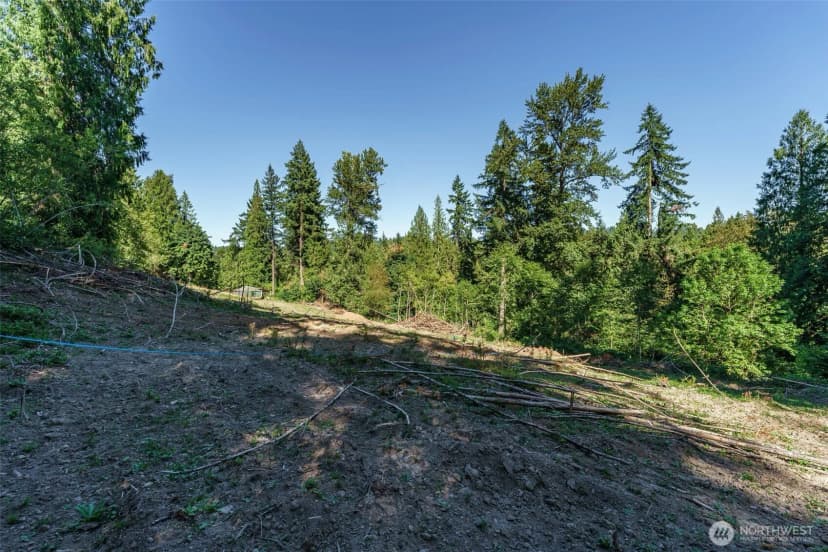 Property photo for 0 Ne Johnson Rd (parcel# 222320000), La Center photo 8