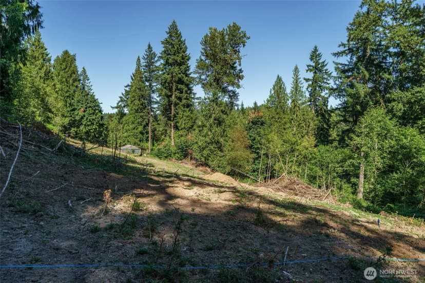 Property photo for 0 Ne Johnson Rd (parcel# 222320000), La Center photo 7