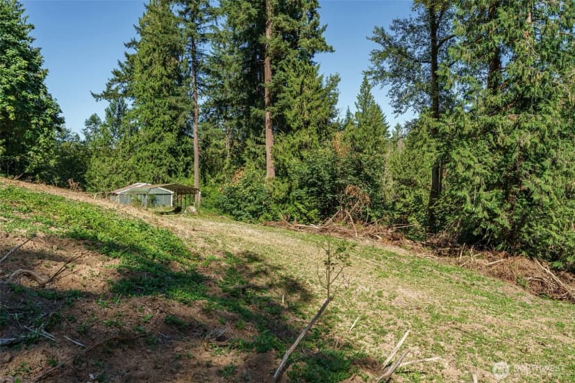 Property photo for 0 Ne Johnson Rd (parcel# 222320000), La Center photo 9