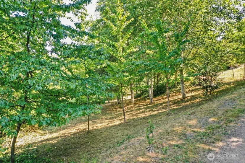 Property photo for 1069 Nw Luoto Court, Poulsbo photo 37