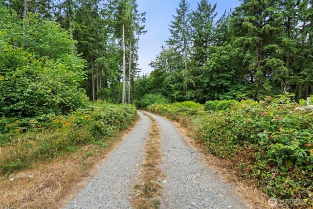 Property photo for 7439 Rixie Road Se, Olympia photo 5