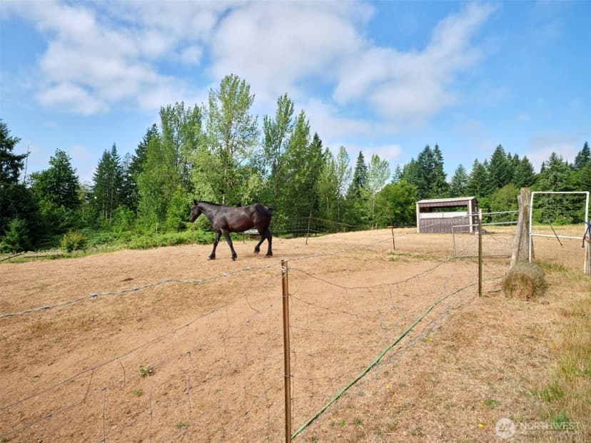 Property photo for 1109 Ne 389th Street, Woodland photo 29