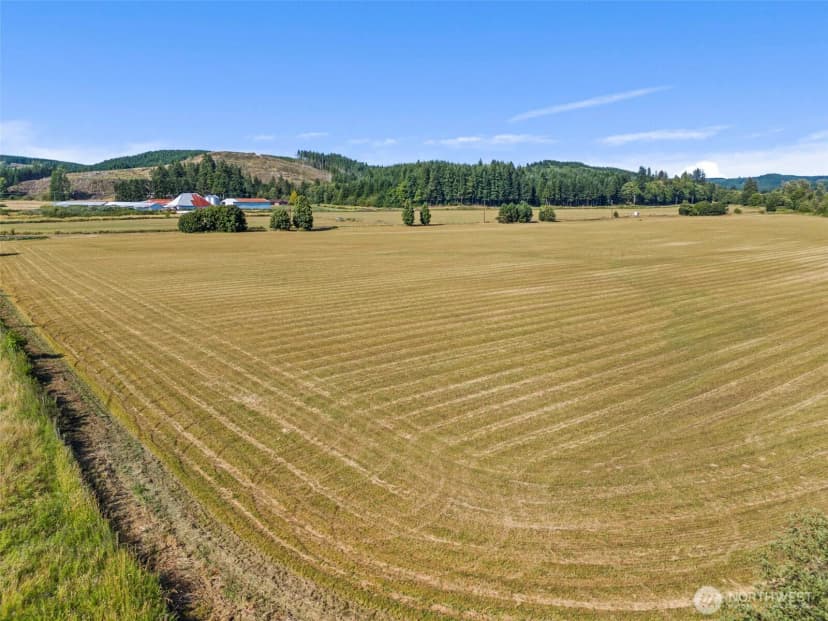 Property photo for 627 Wynoochee Valley Road, Montesano photo 6