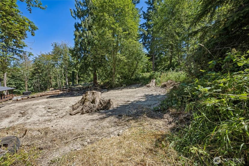 Property photo for 34413 Thomas Road E, Eatonville photo 14