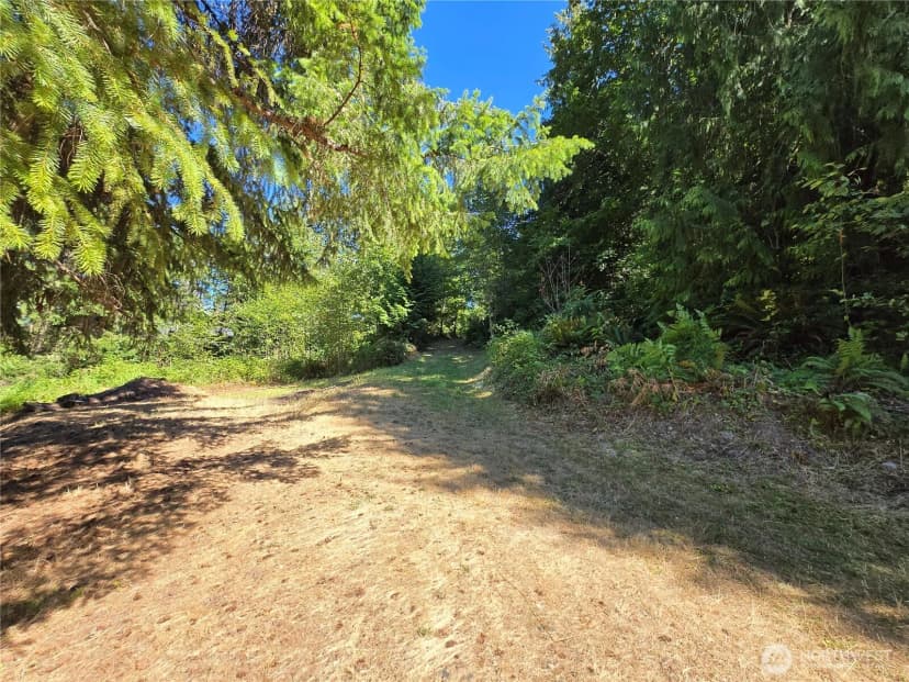 Property photo for 34413 Thomas Road E, Eatonville photo 19