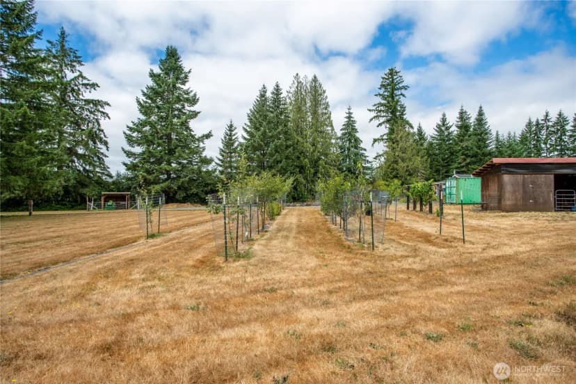 Property photo for 149 Jubb Road, Chehalis photo 32