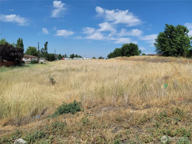 Property photo for 0 Parcel # 060797000 Washington Avenue S, Warden photo 4