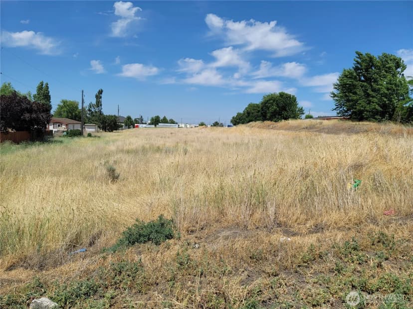 Property photo for 0 Parcel # 060797000 Washington Avenue S, Warden photo 4