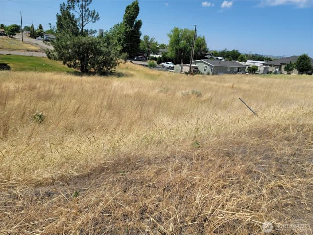 Property photo for 0 Parcel # 060797000 Washington Avenue S, Warden photo 3