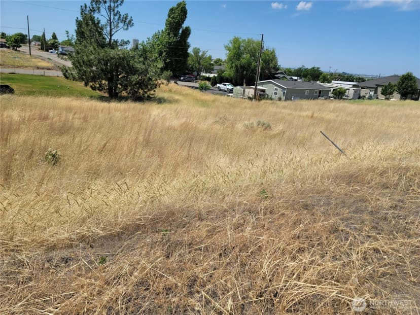 Property photo for 0 Parcel # 060797000 Washington Avenue S, Warden photo 3