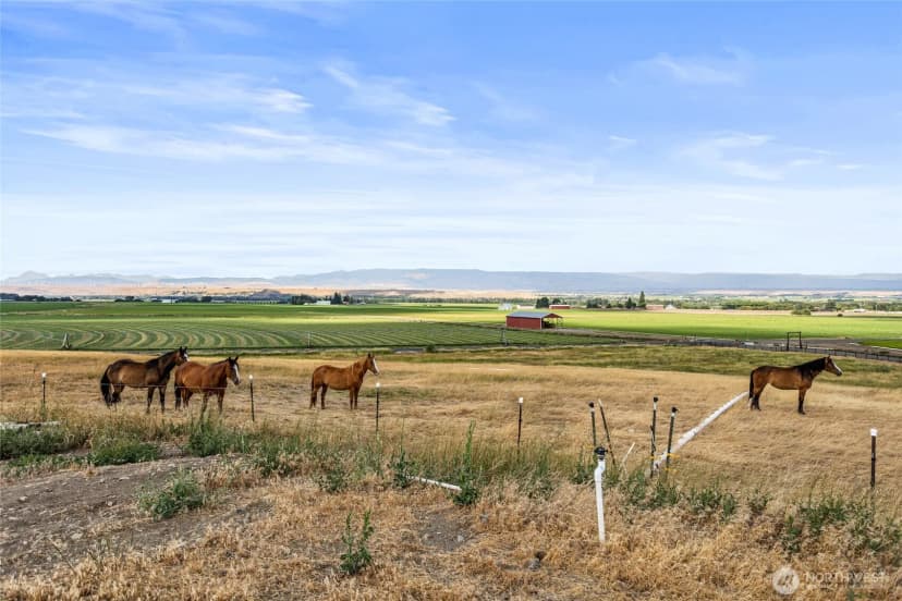 Property photo for 2160 Cove Road, Ellensburg photo 39