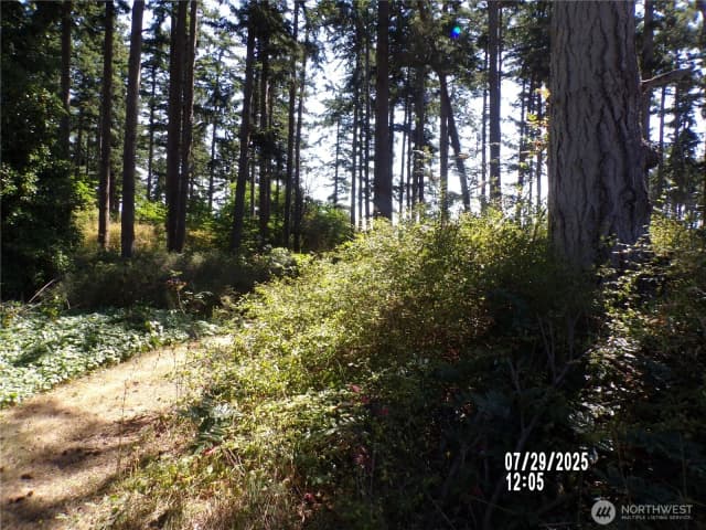 Property photo for 1464 Nature View Lane, Oak Harbor photo 3