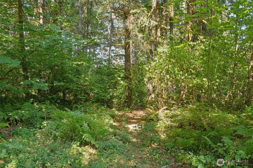 Property photo for 2437 140th Avenue Sw, Tenino photo 26