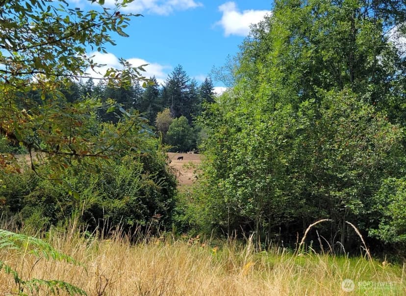 Property photo for 2437 140th Avenue Sw, Tenino photo 35