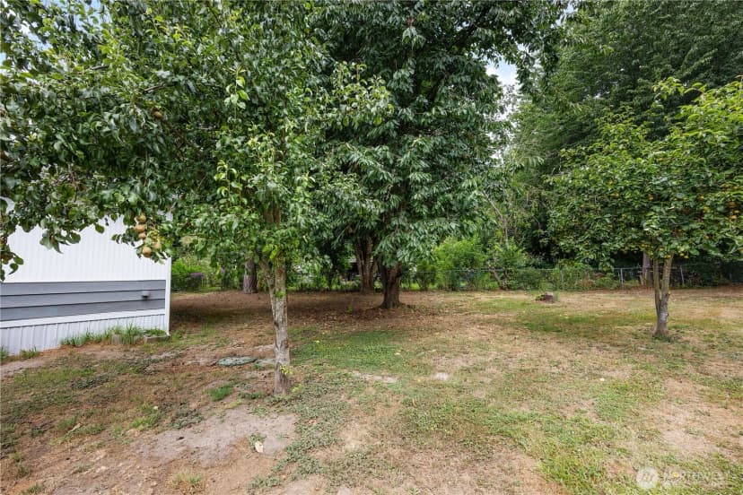 Property photo for 11522 Nisqually Park Loop Se, Olympia photo 31