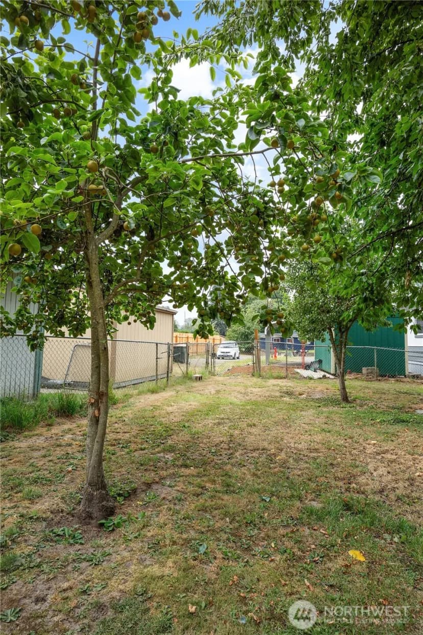 Property photo for 11522 Nisqually Park Loop Se, Olympia photo 29