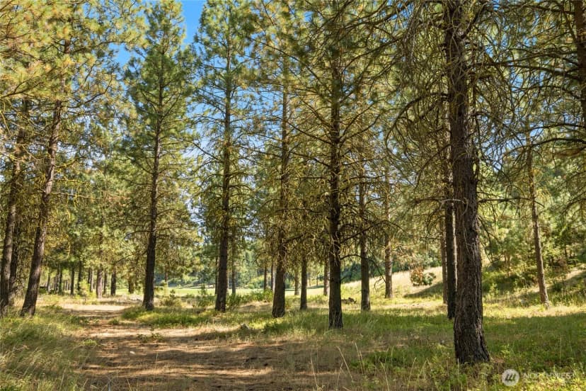 Property photo for 1060 Southern Star Lane, Cle Elum photo 28