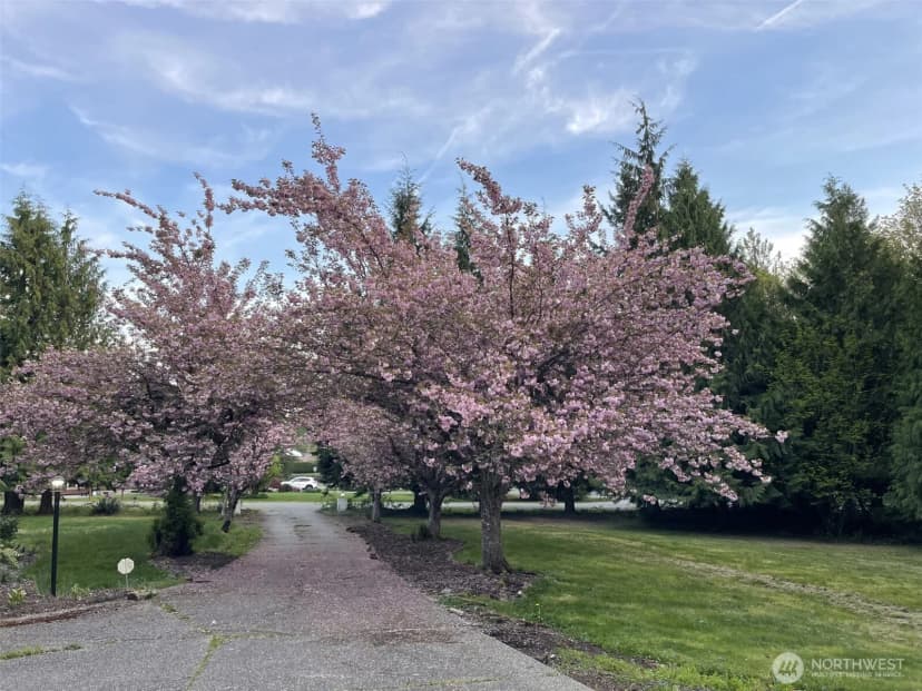 Property photo for 19503 Welch Road, Snohomish photo 34