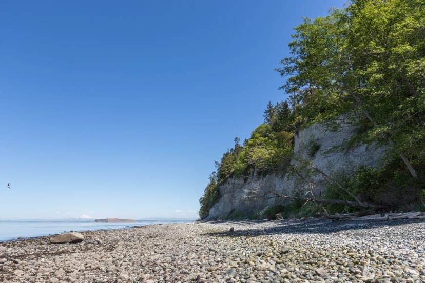 Property photo for 201 Buck Loop Road, Sequim photo 39
