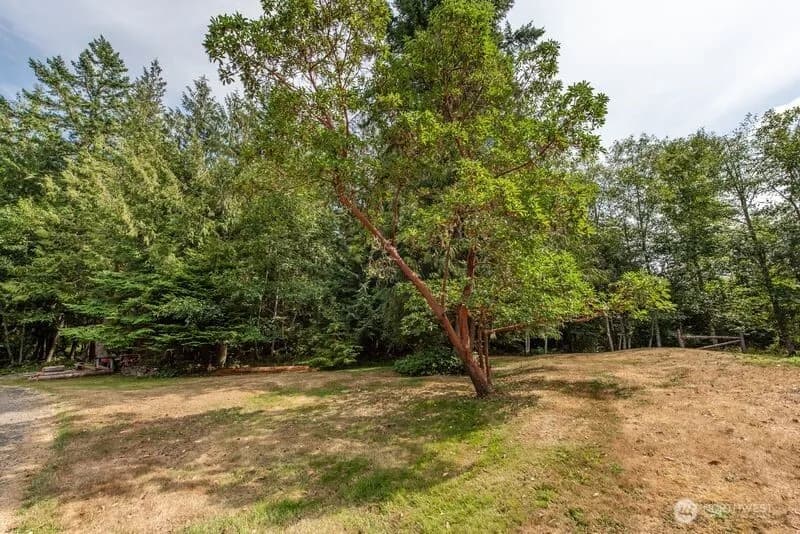 Property photo for 572 Critter Country Trail, Sequim photo 35